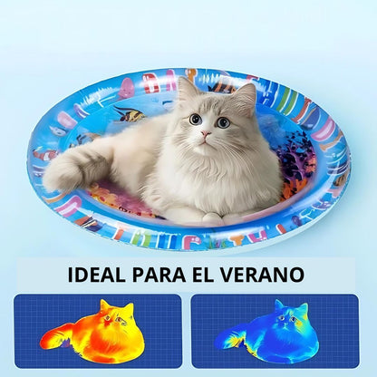 GatoSplash - Tapete Sensorial para Gatos